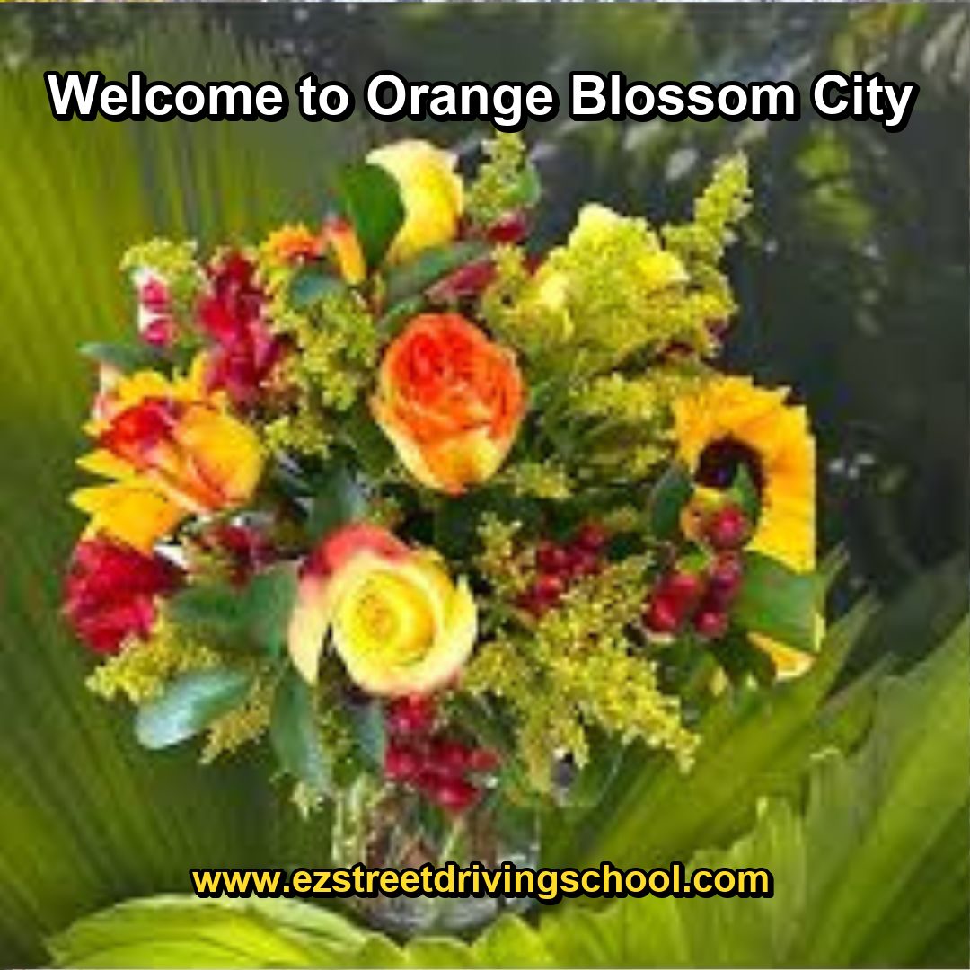 Driving Lessons in Orange Blossom